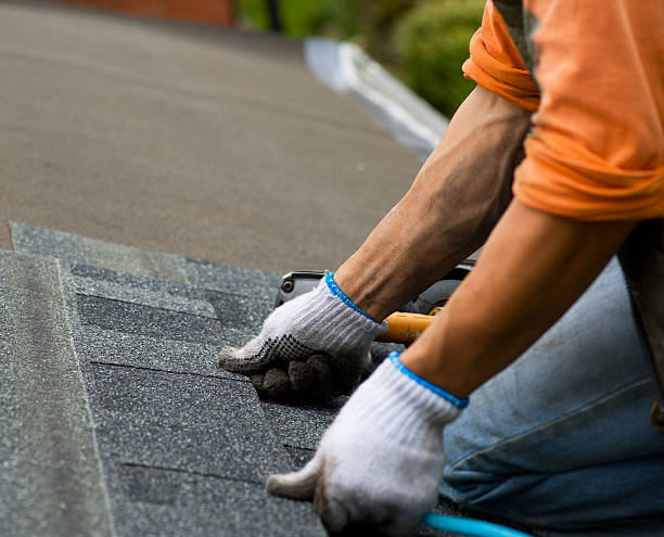 Best Roof Gutter Cleaning  in Carthage, MO